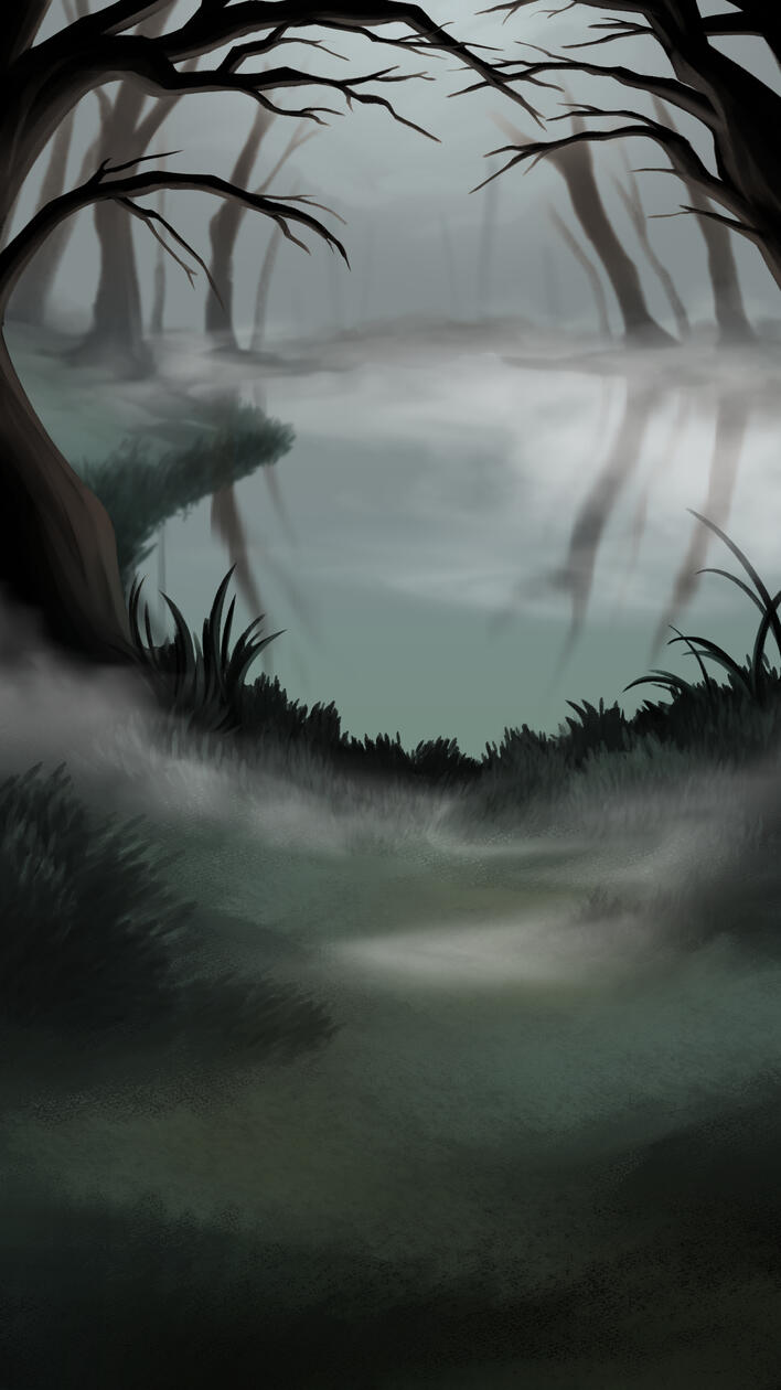 Foggy Forest